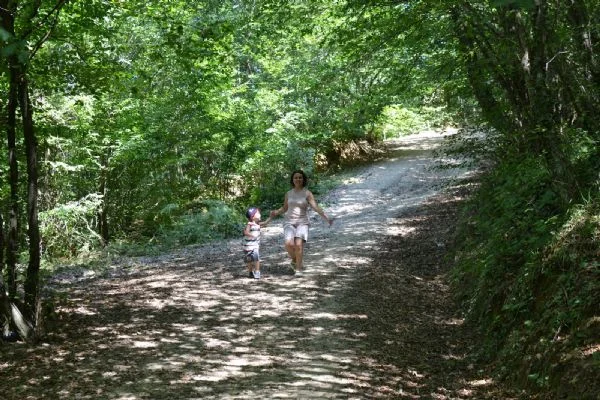 Beykoz Belediye Başkanı Yücel Çelikbilek, Zaman Gazetesi’nin, “Polonezköy yapılaşma kıskacında”