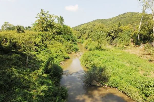 Gıda, Tarım ve Hayvancılık Bakanı Mehdi Eker Kanal Riva Projesi’ni