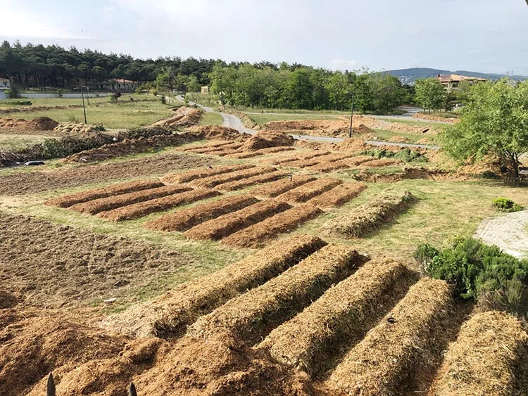 ekolojik park 3 Bp5s1mWEb1