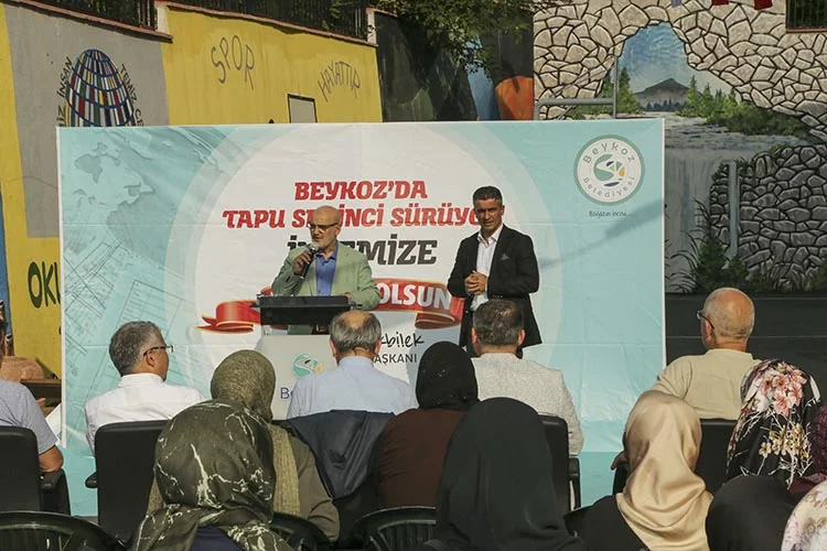 elmali ta UCjyHp3oaN