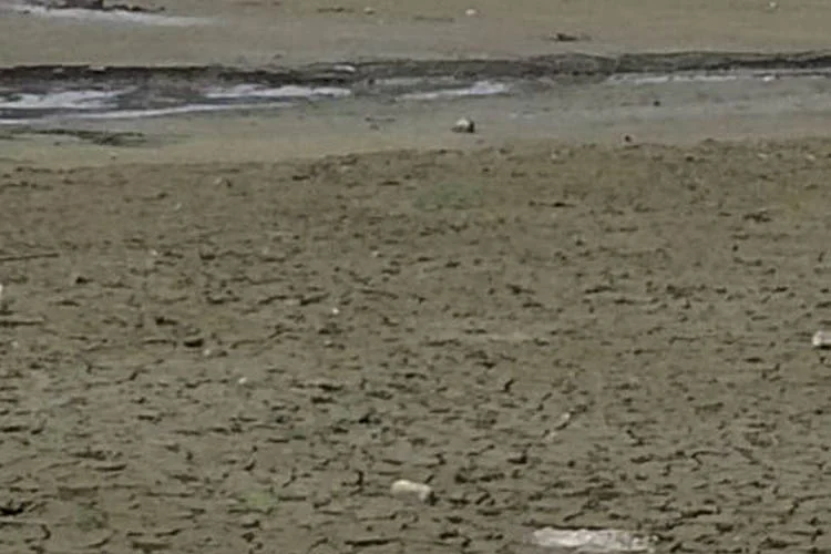 elmali tukend hQagDG1ctn