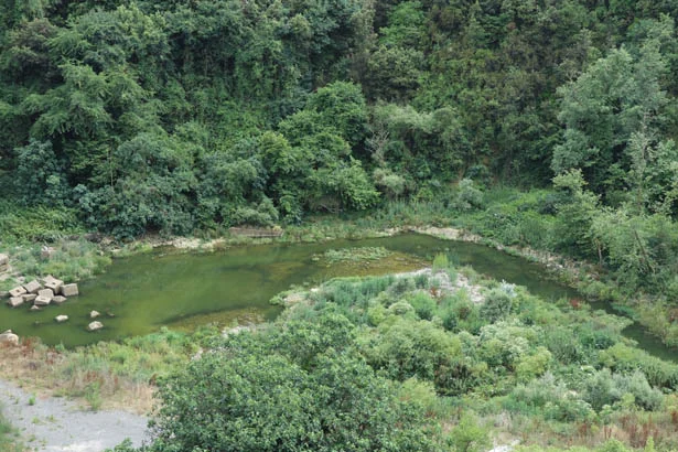 Fotoğraflar bugün çekildi! Beykoz'da korkutan görüntü 2 elmalibar nMRgbFpC20
