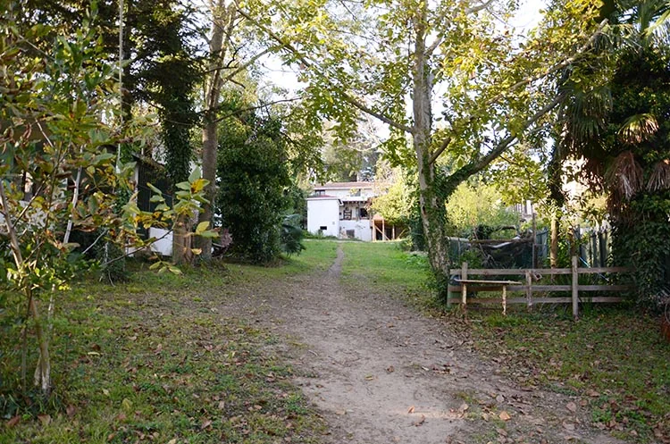 erdogan novvic 5NSn2p96I