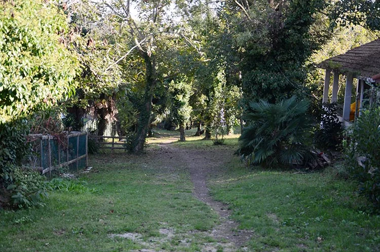 erdogan novvic Qh3LPMRfBB