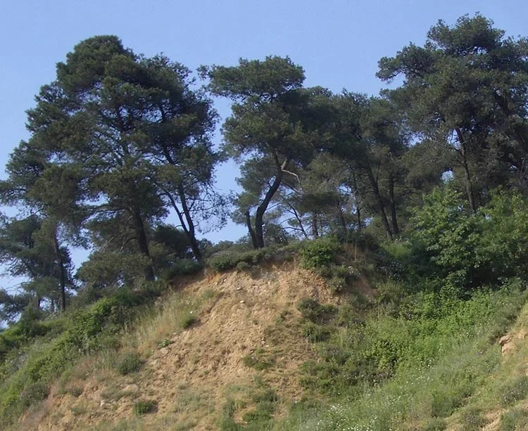 ermeni arazi beykoz 2 nk j8qt1 q