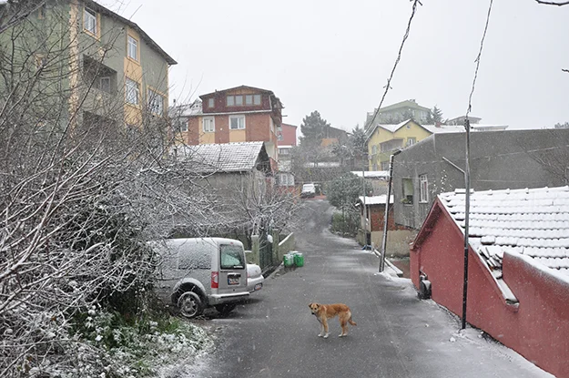 Yılın son günlerinde yağan kar, Beykoz'u beyaz bir örtüyle kapladı.