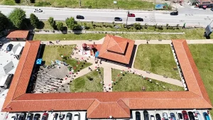 İstanbul’un doğal tarım merkezi Beykoz’da yeni dönemin ilk fideleri dağıtıldı.