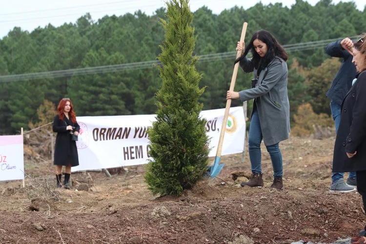 Beykoz'da öğretmenler günü kutlamaları fidanla başladı 3 fiddb3 JWS1wLlf30
