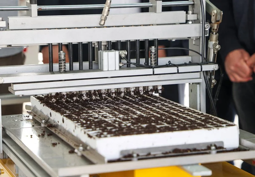 Beykoz’da fide üretim kapasitesi 1 milyon 500 bin adete ulaştı.