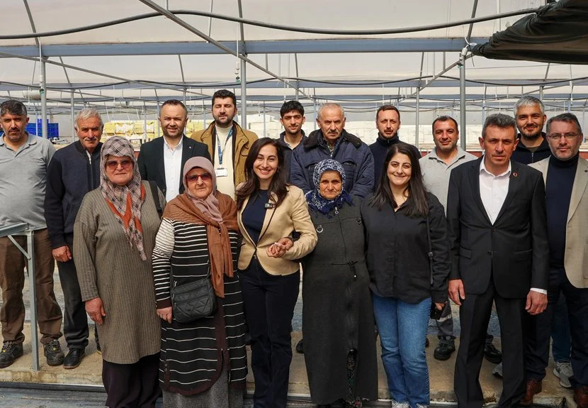 fide1104252 V4THHZDMgM