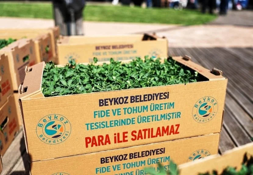 Beykoz Köy Pazarı’nda düzenlenen törende yazlık 1 milyon 50 bin