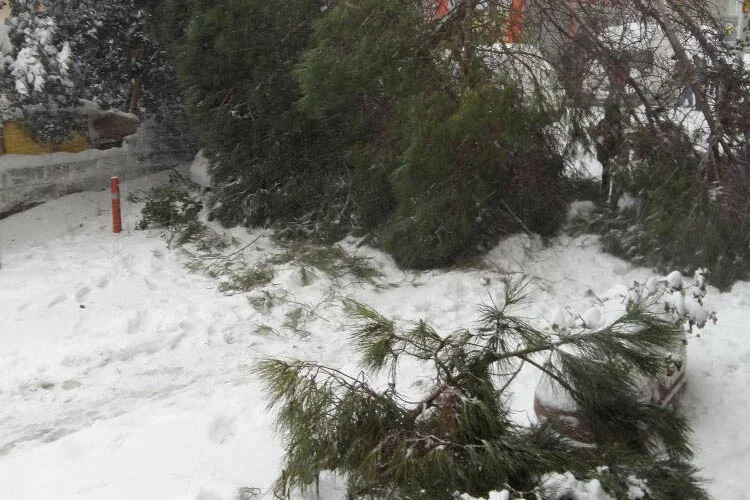 Kar yağışı Beykoz'da 7'den 70'e herkesi etkilerken, vatandaşlar Beykoz Belediyesi'nden