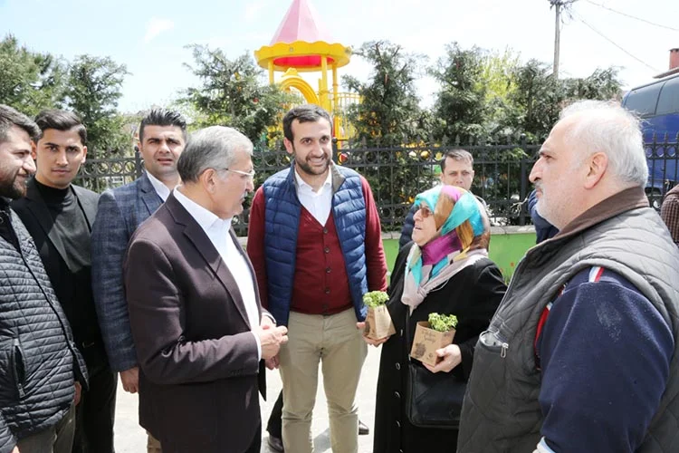 İstanbul’un incisi Beykoz, doğanın uyanışını Fesleğen Şenliği’yle kutluyor, ilçenin sokakları