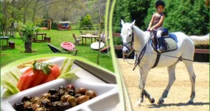 Beykoz Göllü Mahallesi'nde, 5393 sayılı Belediye Kanunu'nun 81. maddesi gereği