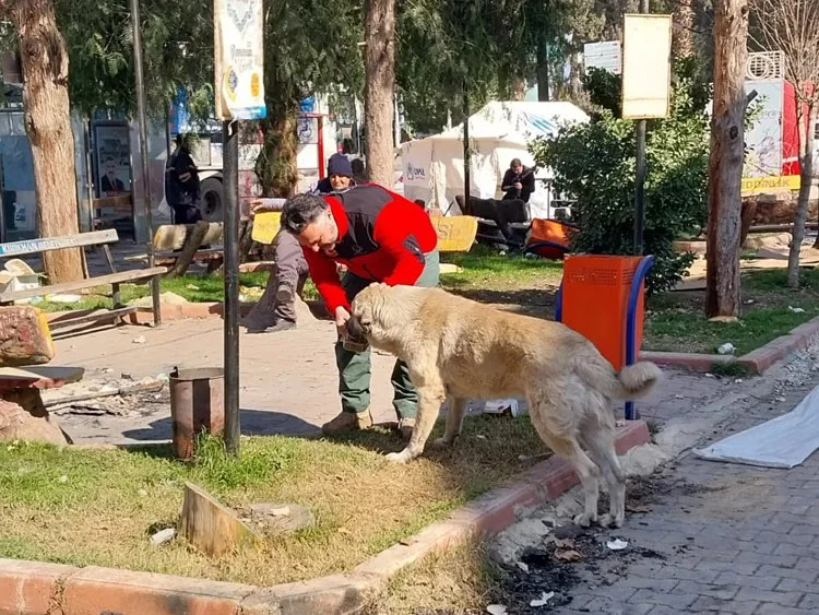Deprem bölgesinde Beykoz'un yüzünü ağarttılar 1 gaye2 Loqoz9FjFO