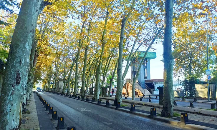 Beykoz Korusu girişindeki üst geçit kaldırıldı 1 gecit beykoz 3 4nsH1VWVlC