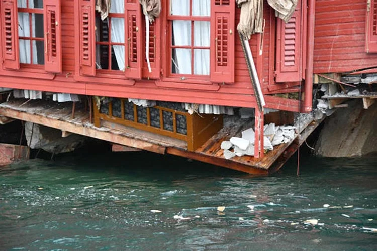 geli yali l1jqzJBVJZ