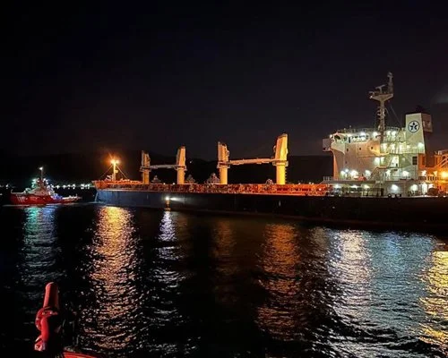 İspanya'ya seyir halindeki Bahamalar bandralı dökme yük gemisi Beykoz önlerinde