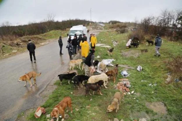 gencler beykoz u unutmad PYBXdJDhh8