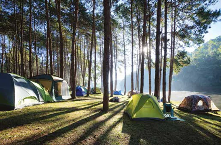 genclik kampi 2mGAwAjq8c