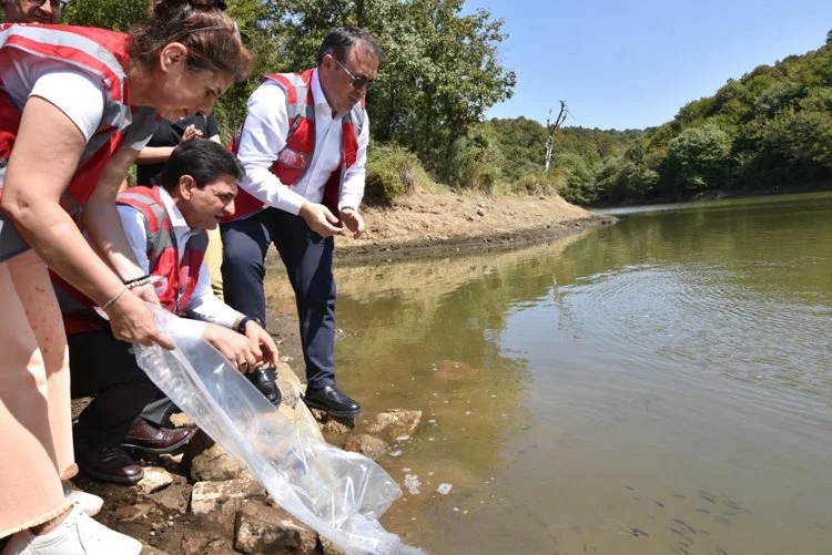 İstanbul İl Tarım ve Orman Müdürlüğü, Su Kaynaklarının Balıklandırılması Projesi