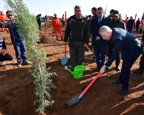 Beykoz'da Temmuz ayında çıkan orman yangınında zarar gören 21,6 hektarlık