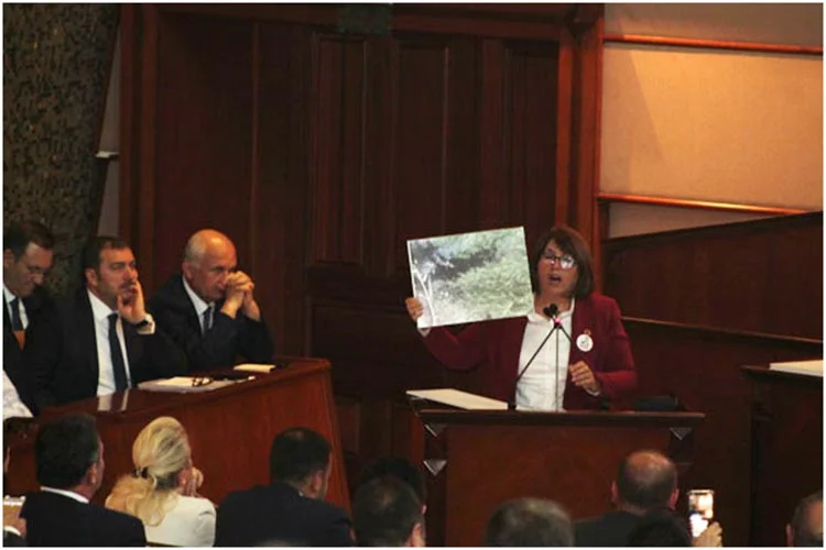 Beykoz Meclis Üyesi Gülay Demirel bu kez Beykoz’un gözbebeği niteliğindeki