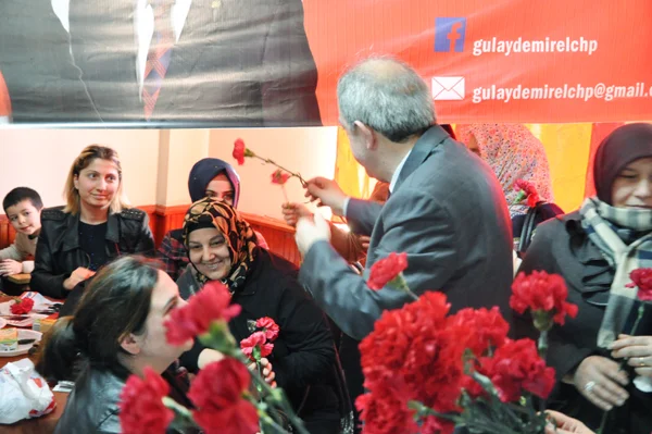 Beykoz Belediyesi'nin CHP'li Meclis Üyesi Adayı Gülay Demirel, Görele Köyü'nde