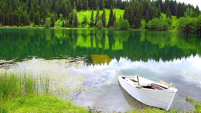 İstanbul'un nadide köşelerinden biri olan Beykoz Polonezköy'ün imara açılmasına, bilirkişi