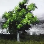 Beykoz Belgeseli Feridun Karakaya Sahnesi’nde Kültür ve Turizm Bakanı Ertuğrul