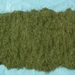 Beykoz Emniyet Müdürlüğü, 1 haftalık takip sonrasında şüpheli iki zanlıyla