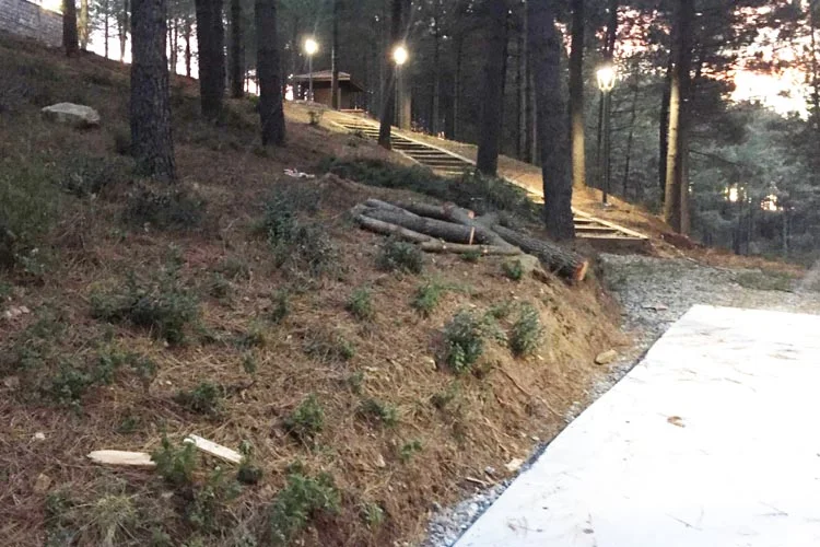 Beykoz Karlıtepe Mesire Alanı'nda ne oluyor? 2 haber 4 eNR7wWpTA