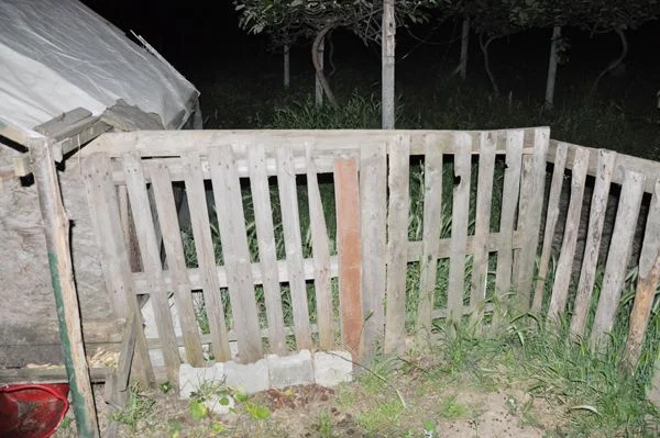 Hayvansever bile 'PES' dedi 1 haci mehmet alibahadir ko y6rCtB9cPV