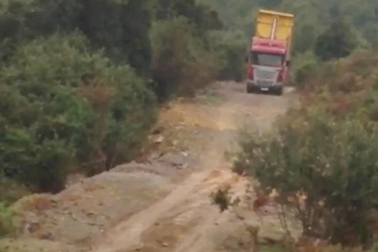 Beykoz'un Riva Mahallesi'nde bulunan Beykoz Devlet Avlağı Ormanlık alana kaçak
