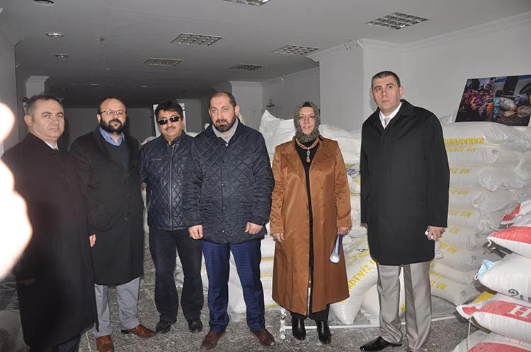 halep un 2 b4 ViWO ZR