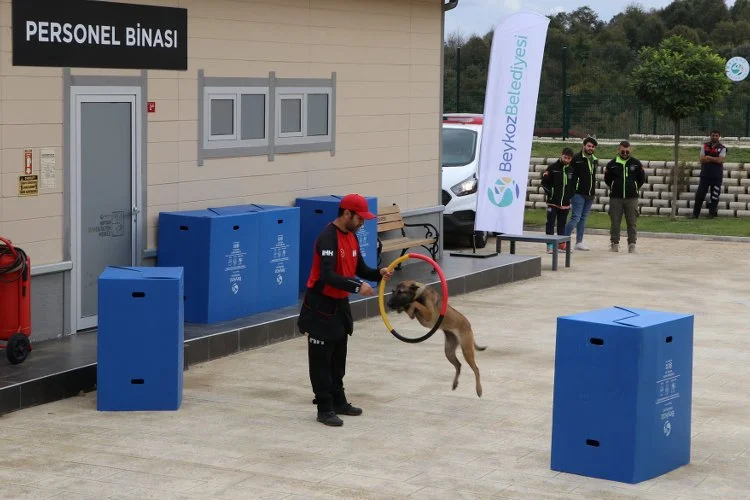 hayvandb3 93rP63LC7h