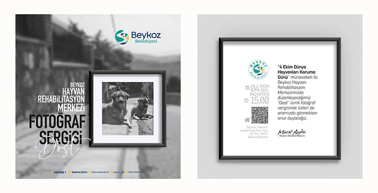 Beykoz, 4 Ekim Dünya Hayvanları gününde Fenerbahçeli Sosa’nın eşi Carolina