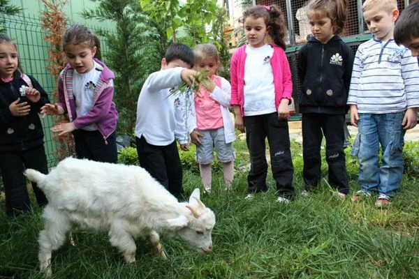 Küçük Hanımefendiler ve Beyefendiler yetiştirme ülküsüyle hareket eden Beykoz Yeşil