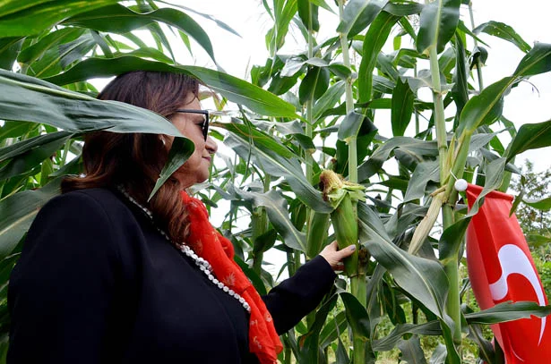 ibbbeykozdakiilkhasaditopladi 10 Ze6JF07Nbq