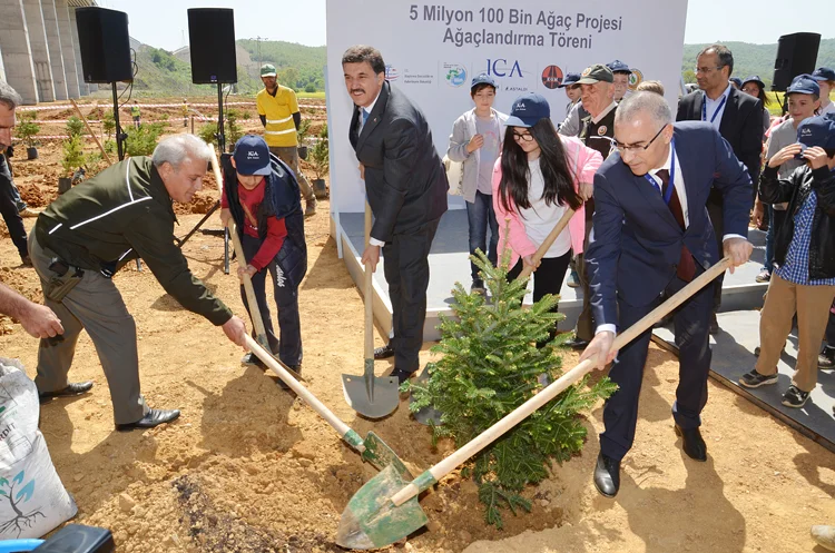 ica beykoz yesil 3 dAlgcIgMCc