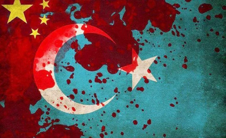 Beykoz, güneşin doğduğu, insanlığın battığı yere kucak açtı 5