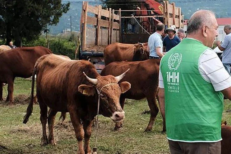 'Kurban rahmettir' sloganıyla Türkiye dahil dünyanın 54 ülkesine yola çıkan