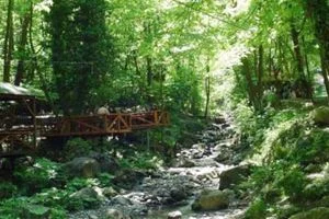 Ülkelerinin 1842'de işgal edilmesiyle, mücadelelerini yurt dışında sürdürmek isteyen bir