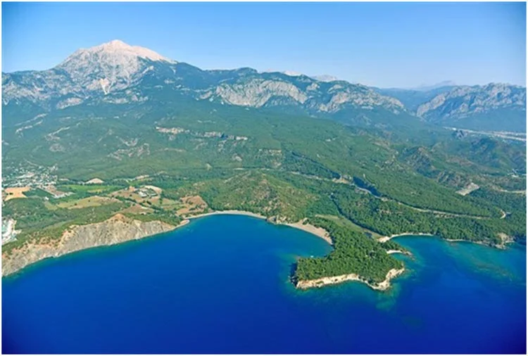 ismail hoca resim 2 NCRMNCtRrF