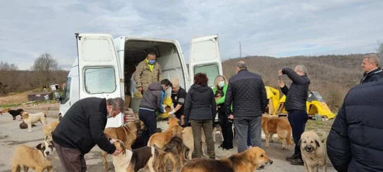 iyi parti beykoz 2 5U8 aaQNwY