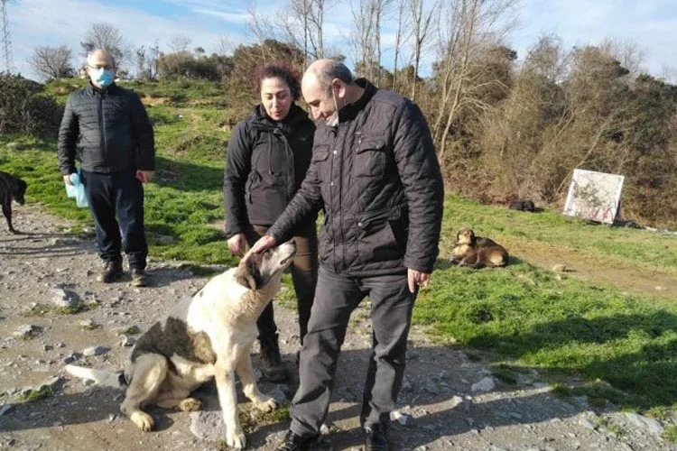 iyi parti beykoz 4 8mG 6bBqpw