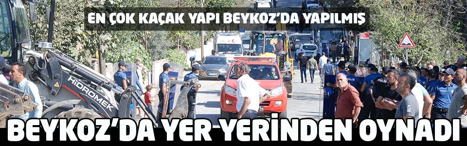 Orman arazilerinde yapılan kaçak yapıların yıkıldığı Beykoz Yenimahalle de hareketli