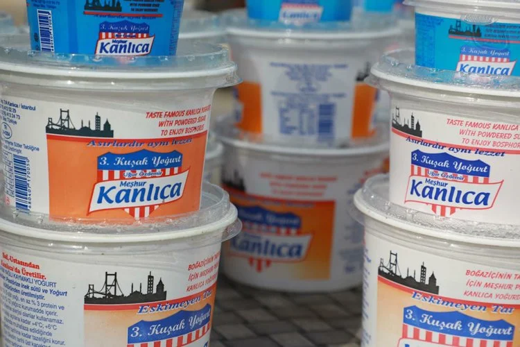 Beykozlular Kanlıca yoğurduna doydu 2 kand2 ikNJCLnqNG
