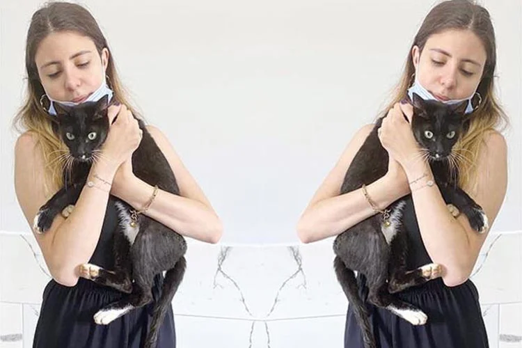 Ertuğrul Özkök Beykoz’da kara kedisine kavuştu 1 kara ke g92L1qDWKw