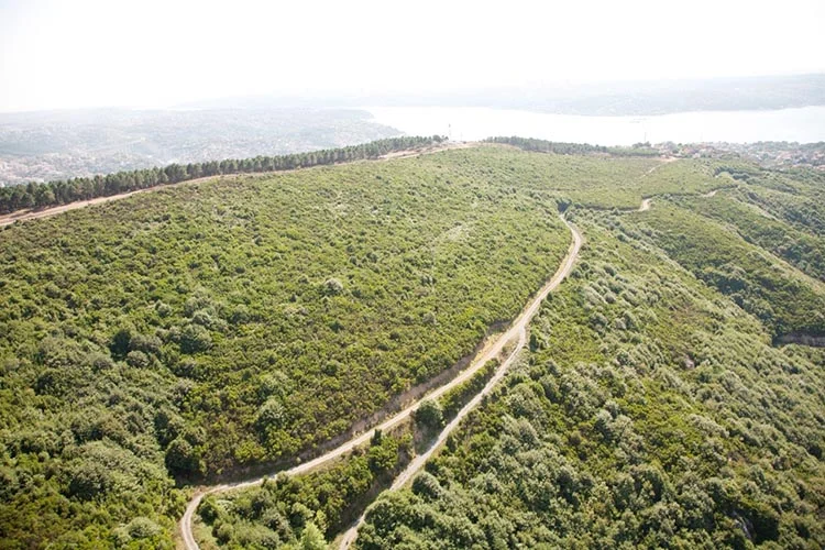 Beykoz Belediye Başkanı Yücel Çelikbilek’in 2014 Yerel Seçim vaatleri arasında